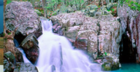 nature that evokes serenity