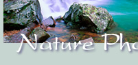 Photographs of nature